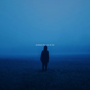 До свидания, друг мой