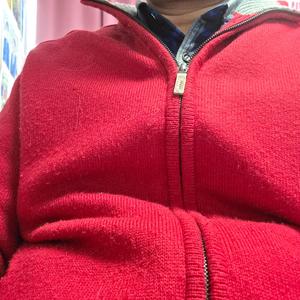 산수유 꽃 동네