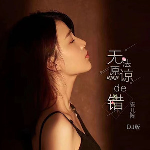 无法原谅的错 (DJ默涵版)