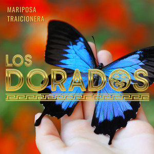 Mariposa Traicionera (En Vivo)