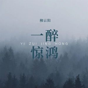一醉惊鸿(伴奏)