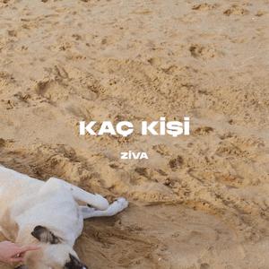 Kaç Kişi