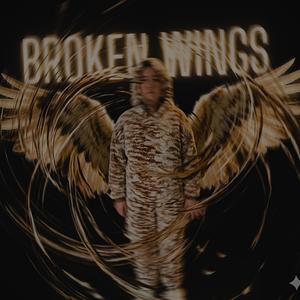 Broken Wings