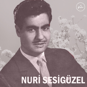 Gökyüzünde Kumru Gibi Dönerken