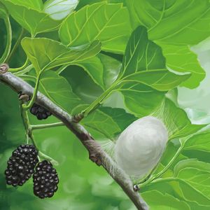 始终浪迹天涯 蛹泉