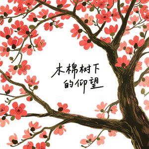 木棉树下的仰望