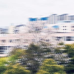 Bling Bling（prod.Gr33nartBeats)