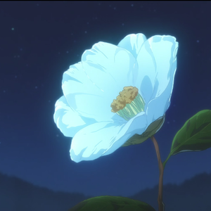 風の旅 feat.小春六花（风之旅）