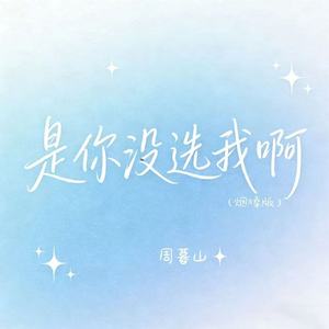 是你没选我啊(烟嗓版)