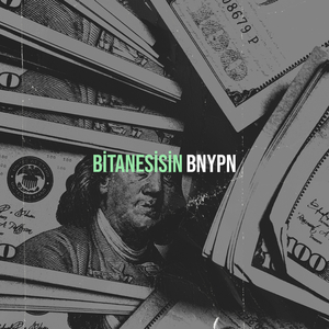 Bitanesisin