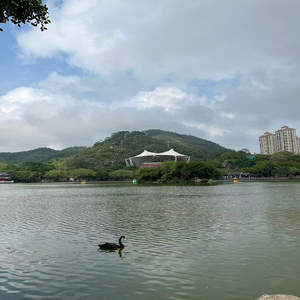 风吹过来
