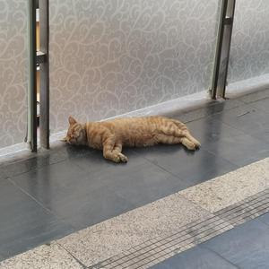 红色高跟鞋(男版)_Philanthropist~3