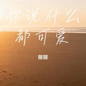 你说什么都可爱 (Cover 偶尔呆呆)