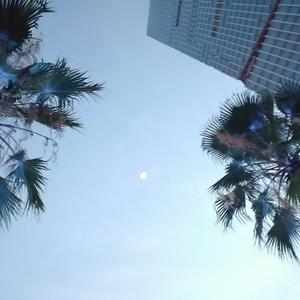 【FREE】阳