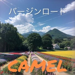 バ－ジンロ－ド