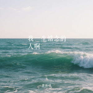 我一生惦念的人啊