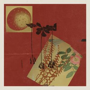 Are You Sure it's Dead?