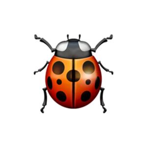 bug