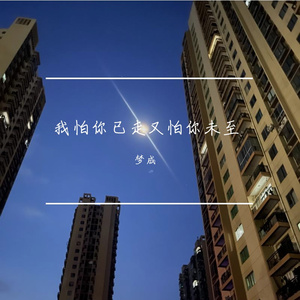 我怕你已走又怕你未至2