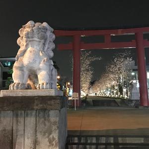 永遠(とわ)の再会