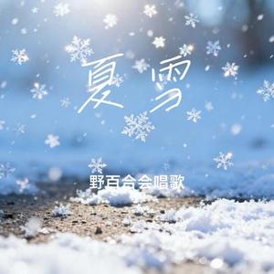 夏雪 (Cover 飞轮海)