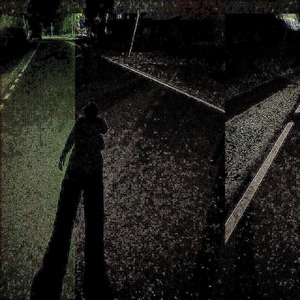 dark fauna