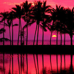 Martin And Gina(Official Audio Remix)