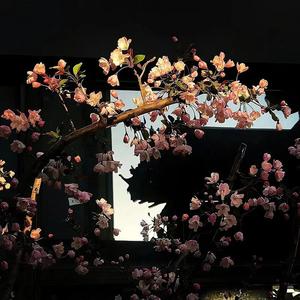 佳人轻抚桃花扇