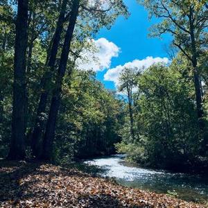 夜行者 (Cover 玥夏)