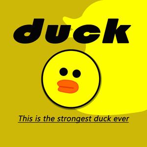 duck（prod.by Fakeblood）