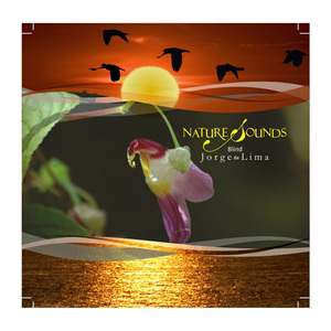 The Wind on the Mountain