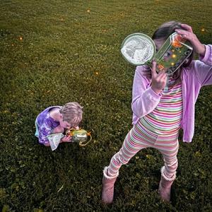 Lightning Bugs And Thunder Storms