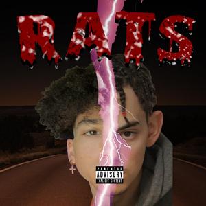 Rats
