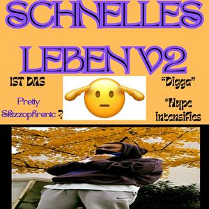 Schnelles Leben V2