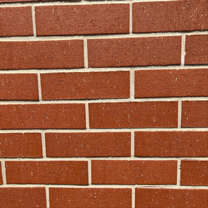 Bang My Head Against It