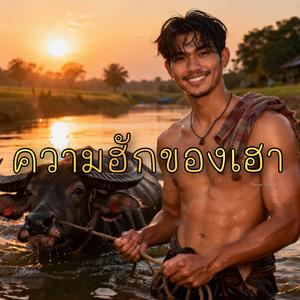 ความฮักความเฮา.