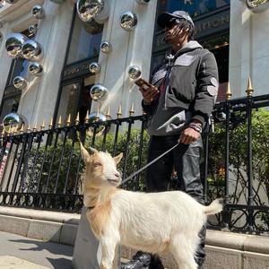 tookatrip.mp3 (feat. thahomey & Lamadi)