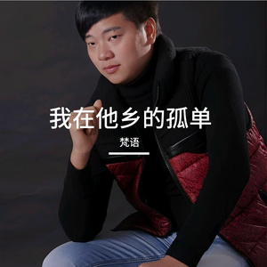 我在他乡的孤单
