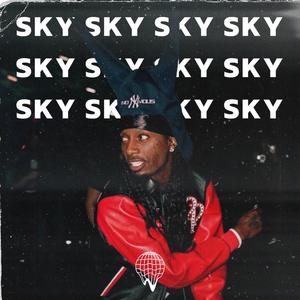 SKY (feat. RICHTANNER®)