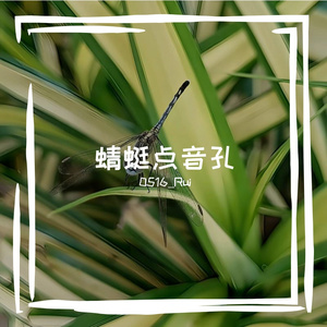 梦里的偏爱补偿