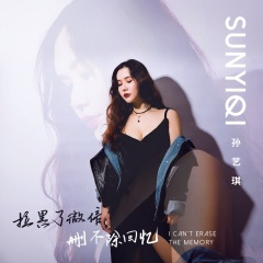 拉黑了微信 删不除回忆 (DJ伟然咚鼓版)