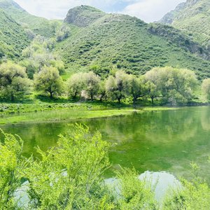sehene想念