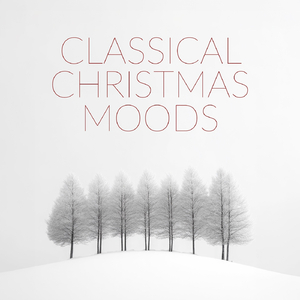 In the Bleak Midwinter