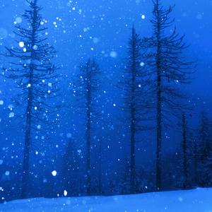 in my dream we met before the world ended