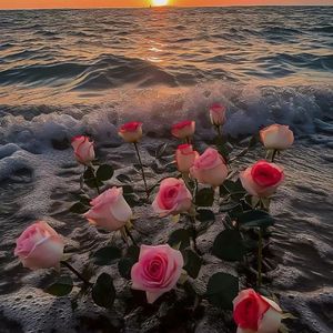 太聪明「悦动版」