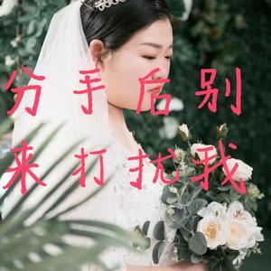 依然把你放心里