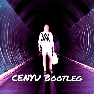 Alan Walker-Fade（Bootleg）（岑语 remix）