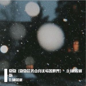 微微 (微微晨光点亮这喧嚣世界)（DJ谢筱谢 remix）