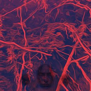 i would kms if there was a bounty