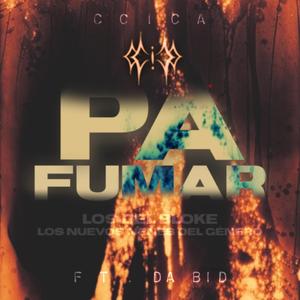 PA FUMAR (feat. ccica, Da.Bid & kid pucca)